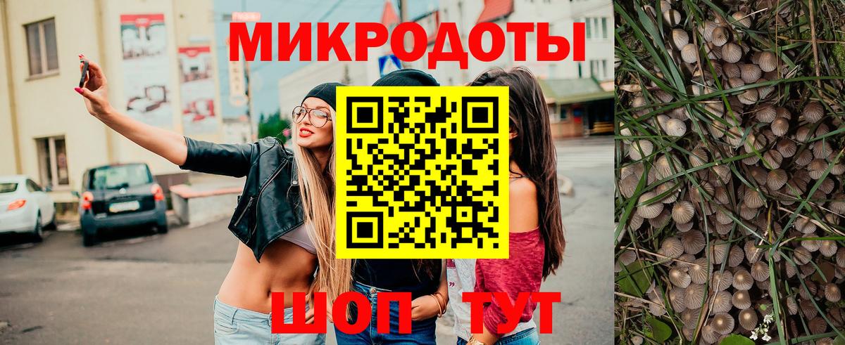 Галлюциногенные грибы Psilocybine cubensis Александров